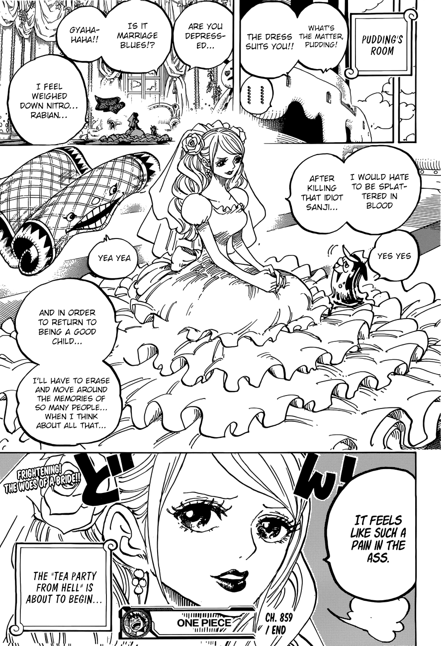 One Piece, Chapter 859 image 17
